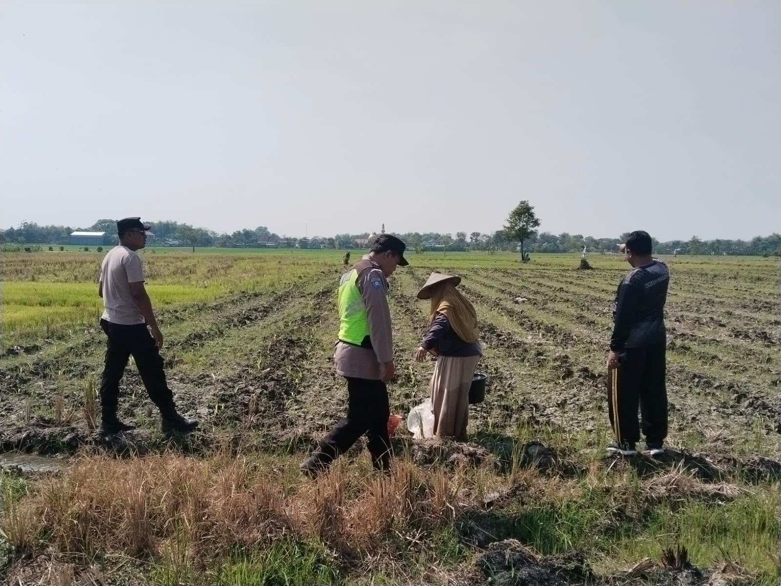 Polsek Sumberrejo Siapkan Lahan Jagung, Dukung Ketahanan Pangan Nasional