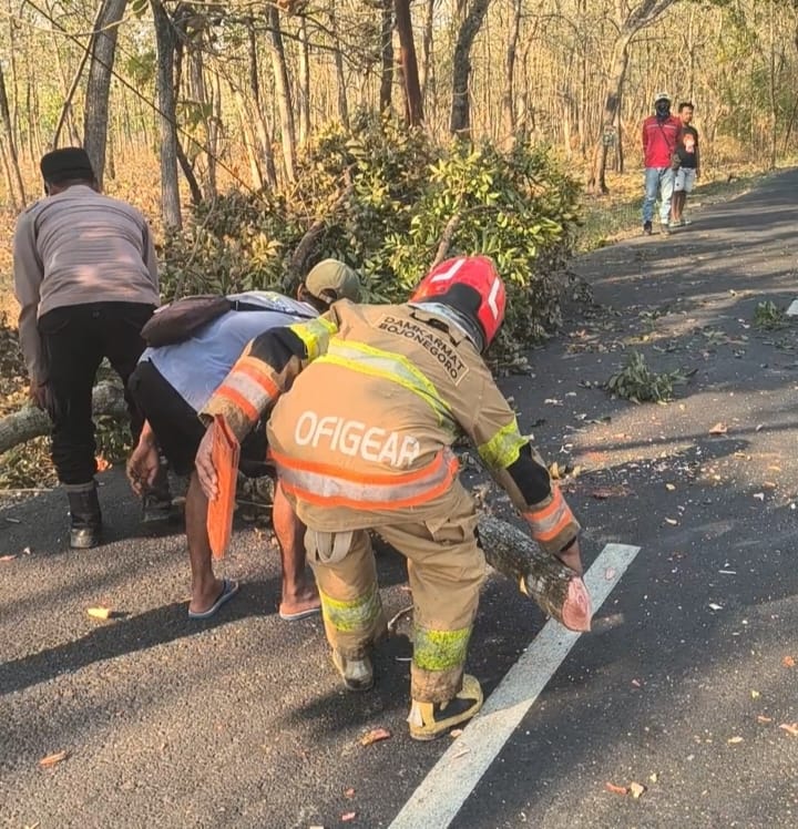 Polsek Ngasem Evakuasi Pohon Tumbang