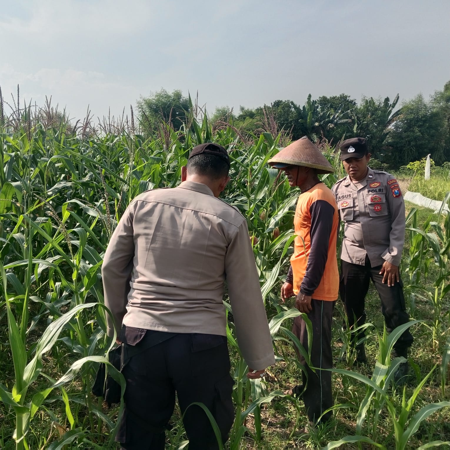 Polsek Ngasem Gencarkan Ketahanan Pangan Menuju Swasembada Pangan