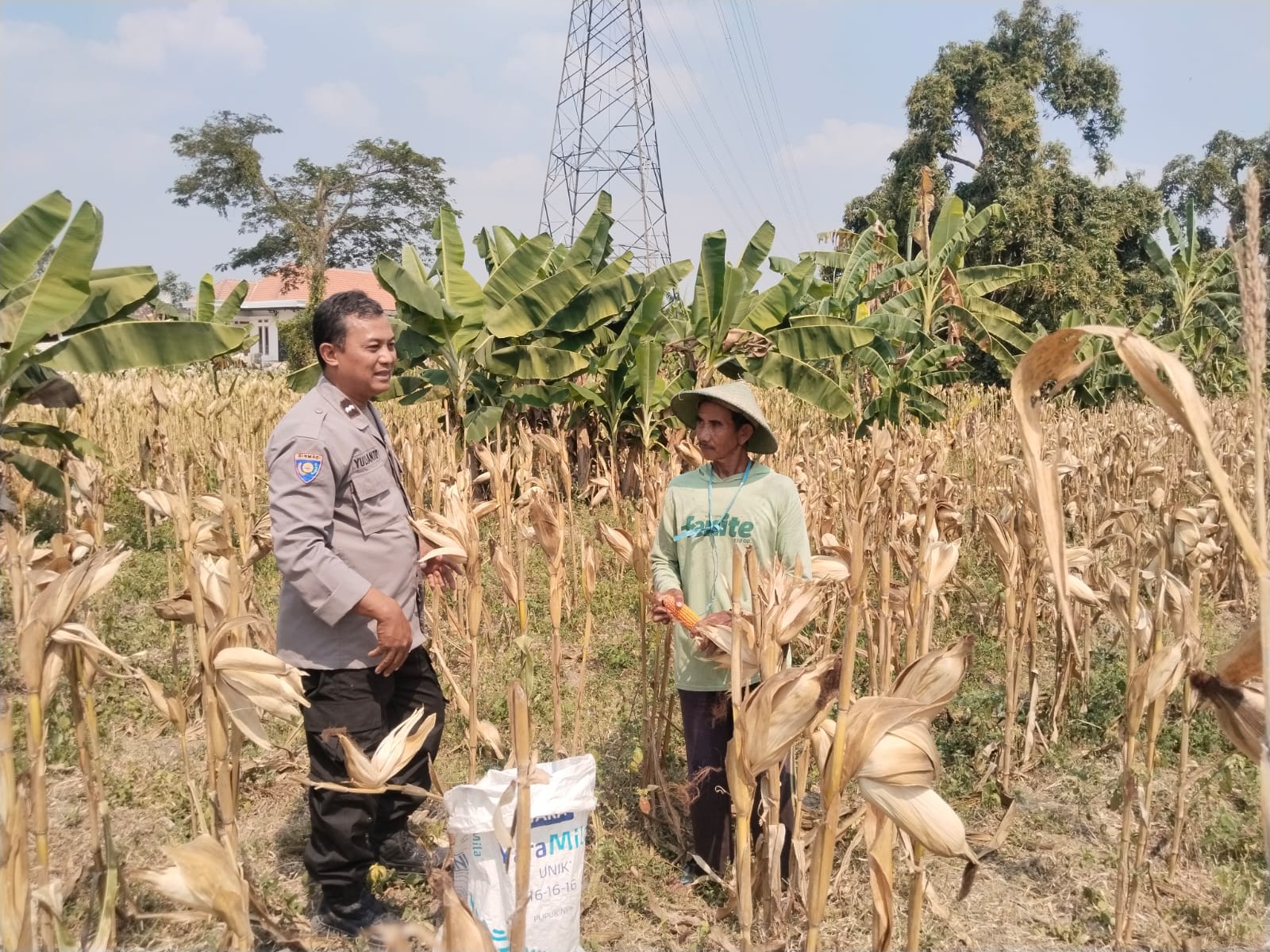 Dalam Rangka Mendukung Program Ketahanan Pangan Nasional, Polsek Baureno Melaksanakan Kegiatan Sambang Petani Jagung