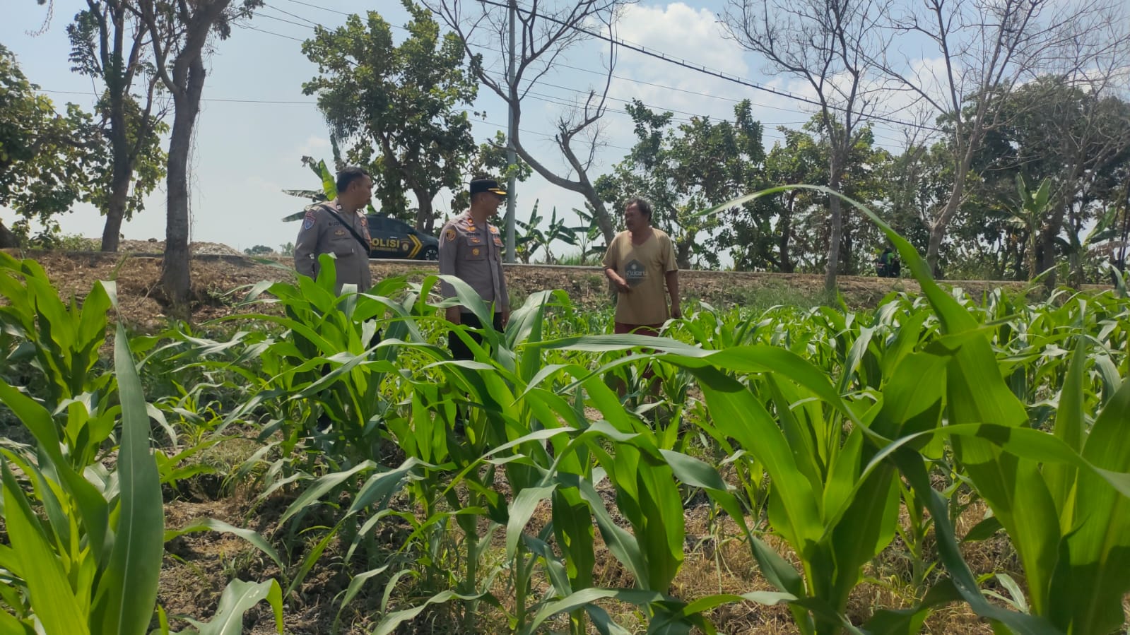 Polsek Bojonegoro Kota Dampingi Petani Semanding Perkuat Ketahanan Pangan Nasional