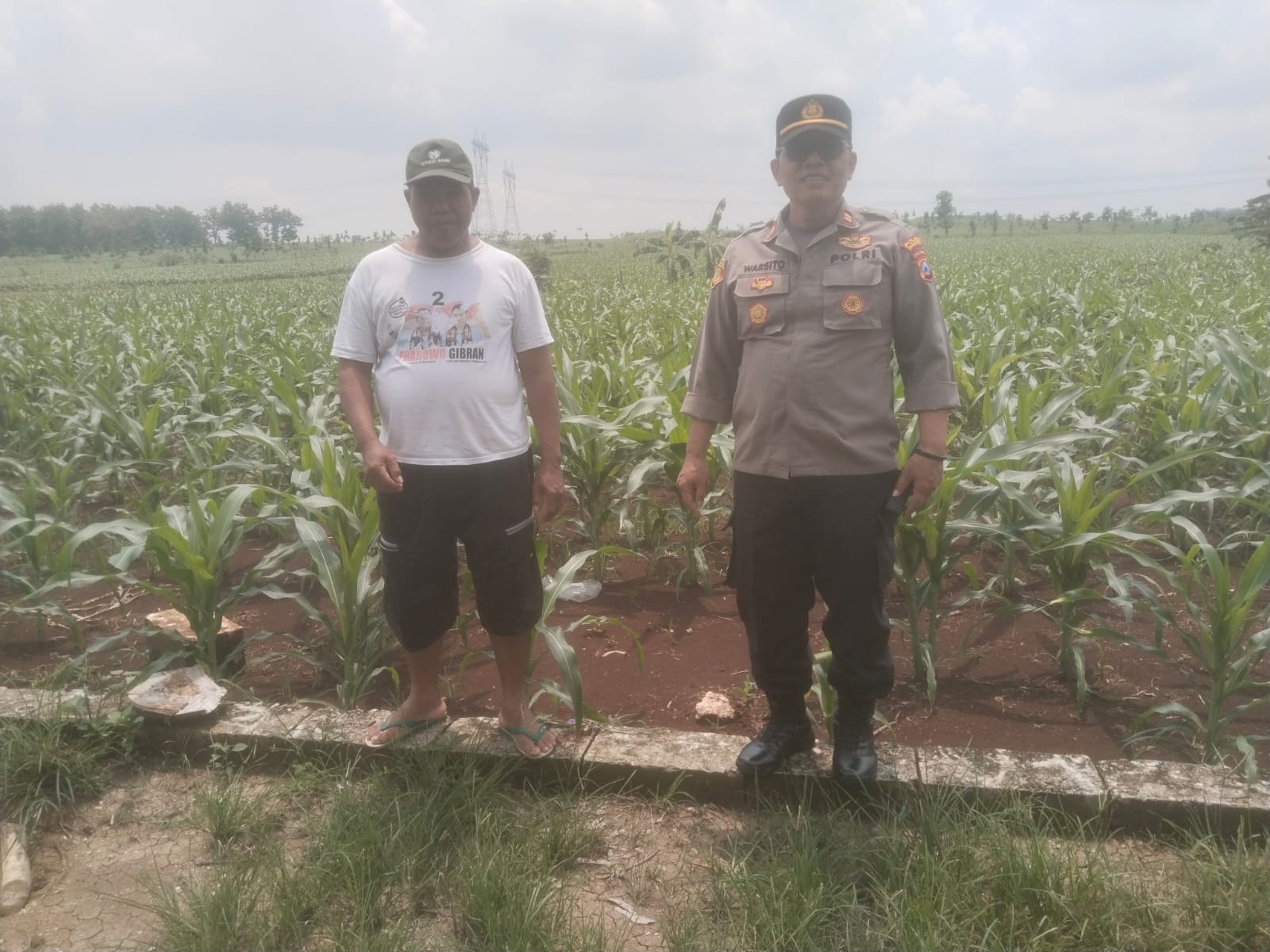 KAPOLSEK DANDER SAMBANG PETANI CEK PERTUMBUHAN TANAMAN JAGUNG DI DESA SUMBERARUM