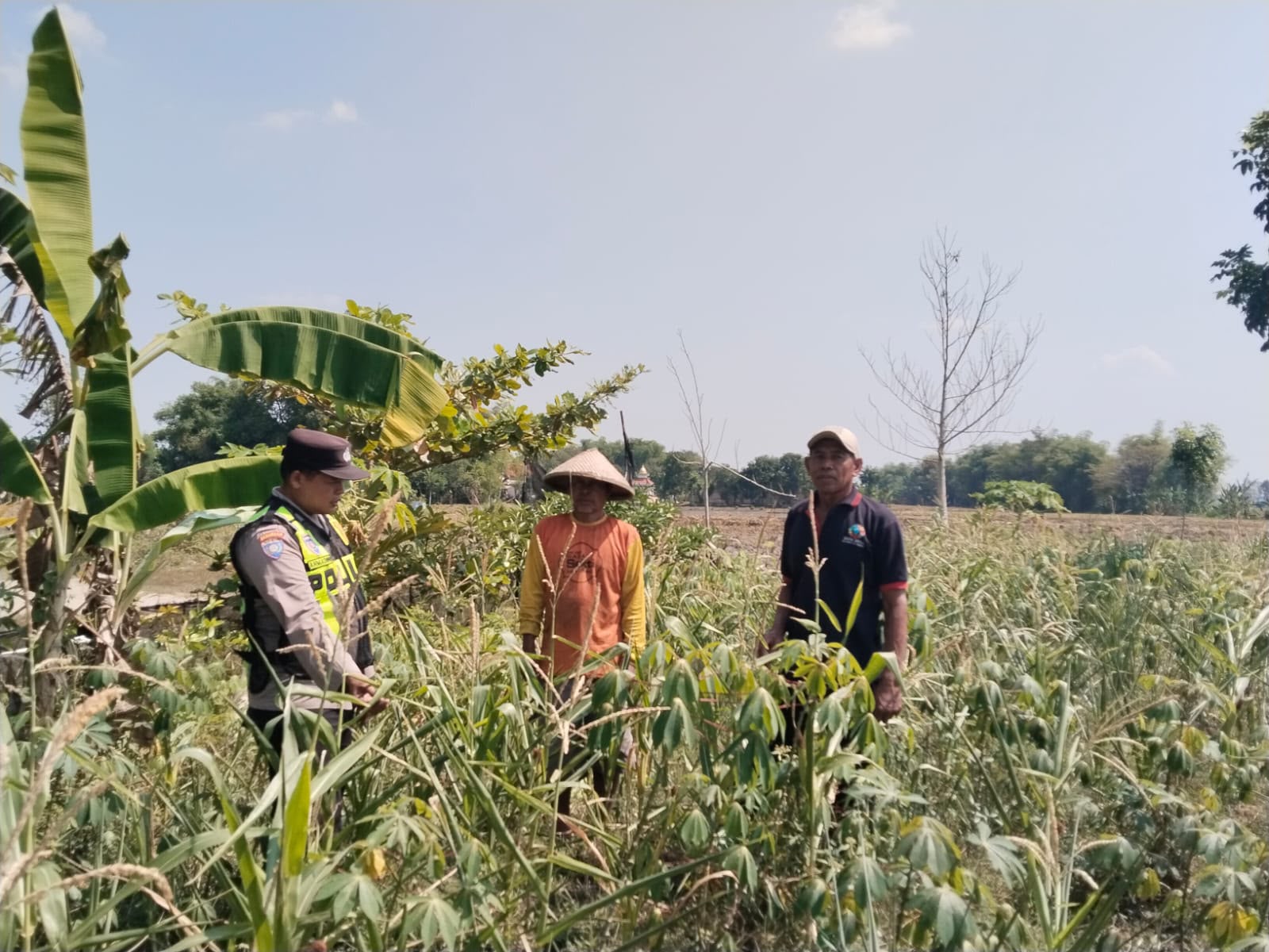 BHABINKAMTIBMAS DESA SUMURAGUNG DAMPINGI PETANI TERAPKAN SISTEM TUMPANG SARI, DUKUNG KETAHANAN PANGAN NASIONAL