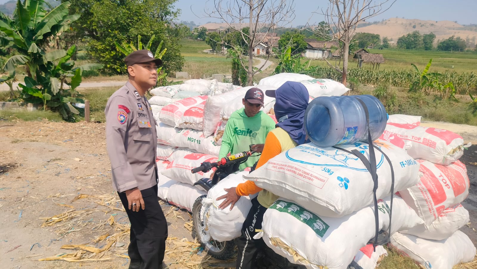 Dukung Ketahanan Pangan Nasional, Polsek Gondang Bersama Warga Panen Jagung di Desa Senganten