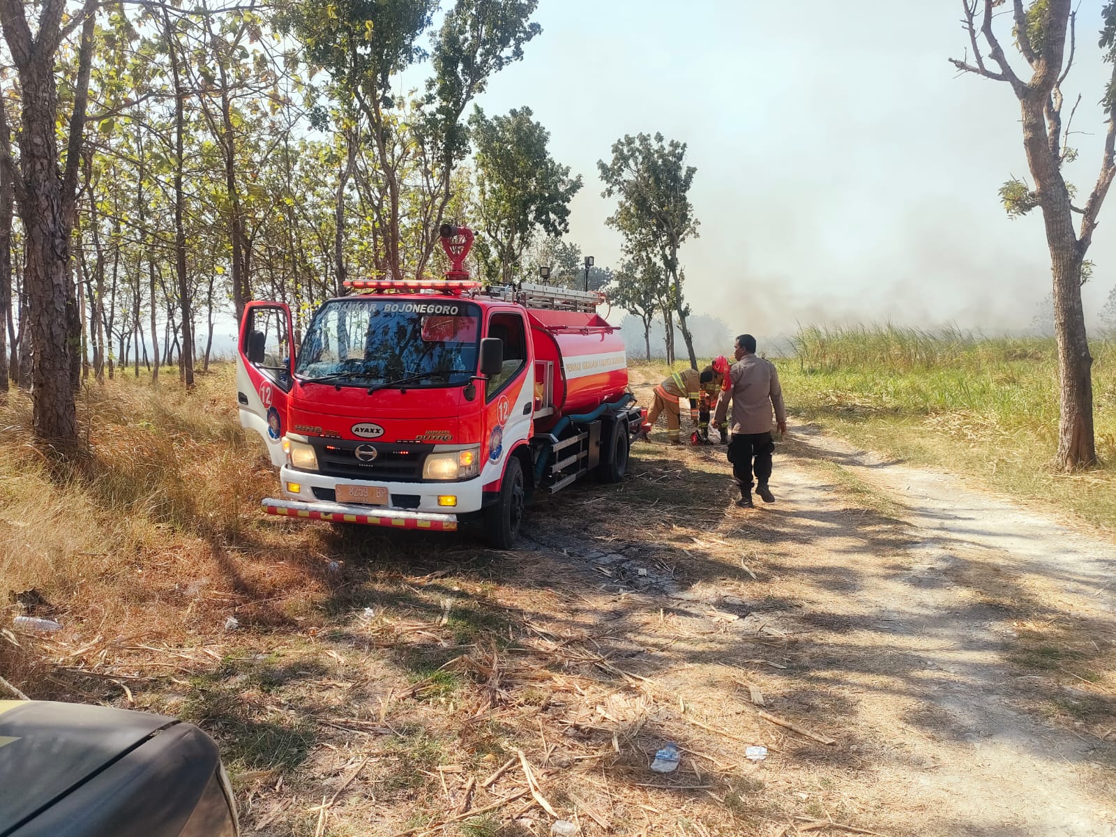 Sinergi 4 Pilar, Polsek Dander Bersama TNI, Perhutani dan Damkar Padamkan Kebakaran Lahan Tebu di Desa Ngunut