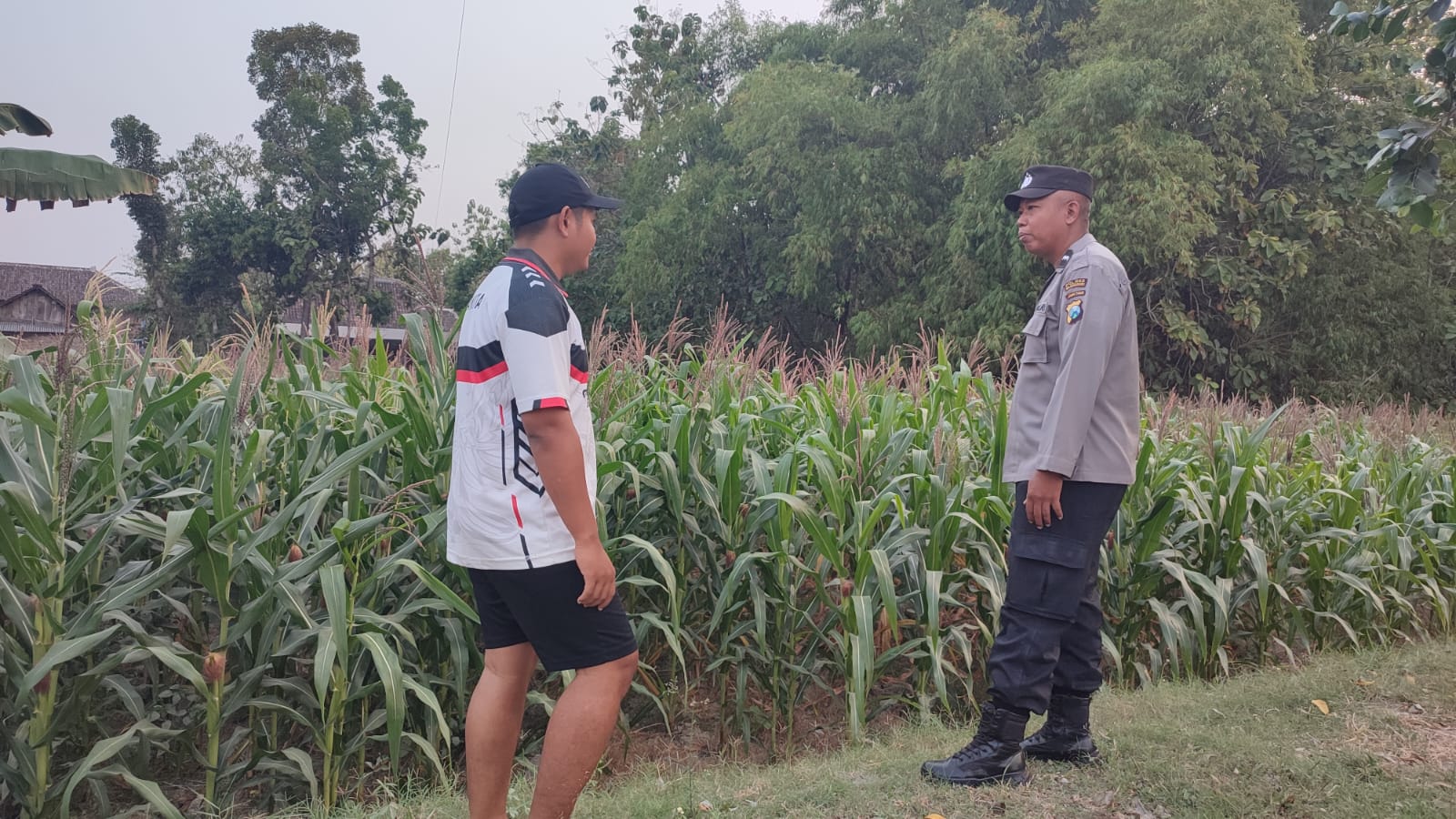 Personil Polsek Ngambon Melaksanakan Pendampingan Petani Guna Mendukung Ketahanan Pangan Nasional