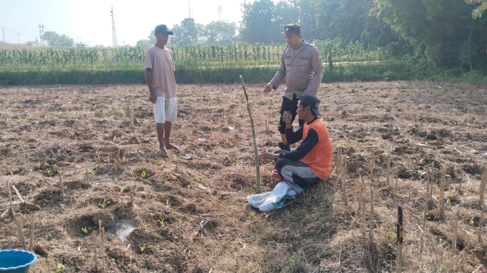 Kanit Binmas Polsek Baureno Laksanakan Pendampingan Petani Jagung di Wilayah Kecamatan Baureno