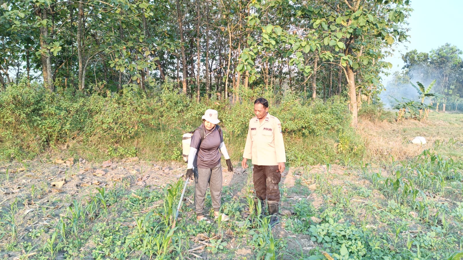 Polisi Ikut Pemupukan Jagung, Wujud Dukungan terhadap Ketahanan Pangan