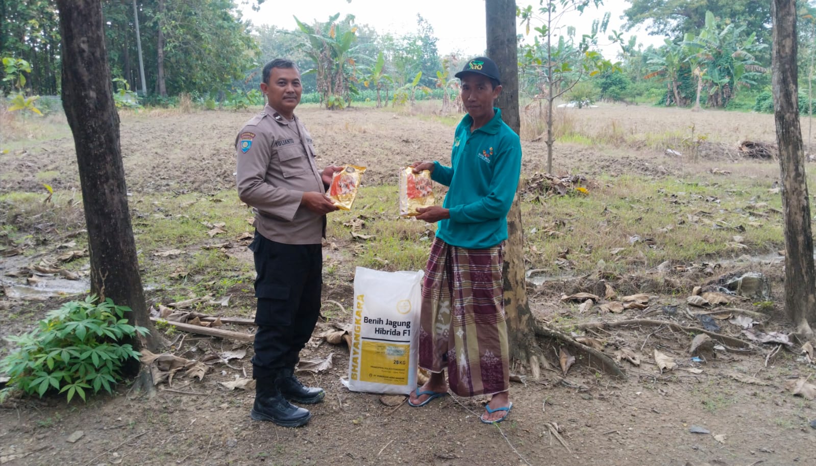 Dukung Ketahanan Pangan, Polsek Baureno Aktif Dampingi Petani Jagung