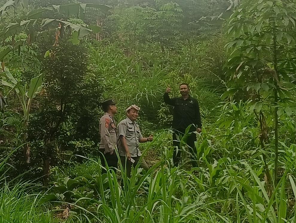 Polsek Sekar dan BPP Sekar Monitor langsung Pertanian di Wilayah Hukum Polsek Sekar