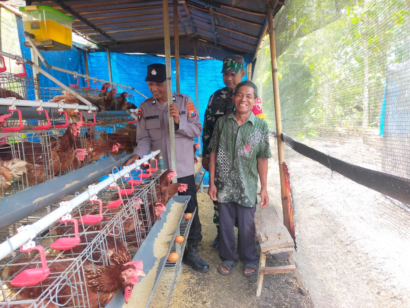 BHABINKAMTIBMAS SAMBANGI WARGA PETERNAK AYAM PETELUR