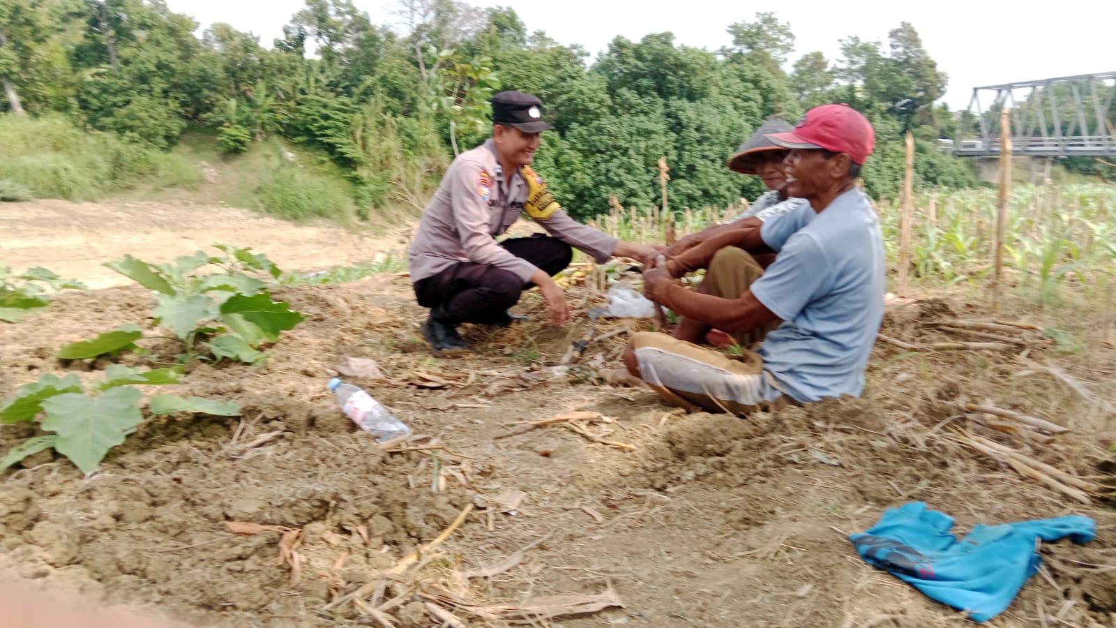 Dukung Asta Cita Pemerintah Bidang Ketahanan Pangan, Bhabinkamtibmas Desa Banjarsari Sambang Dan Motivasi Petani Jagung