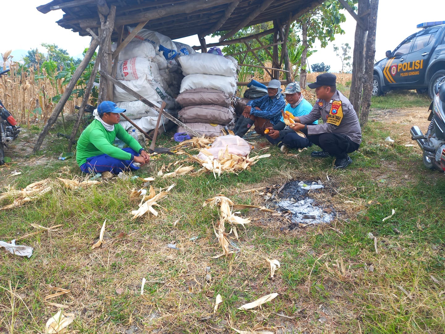 Dukung Ketahanan Pangan,Bhabinkamtibmas Polsek Gondang Sambangi Petani Jagung