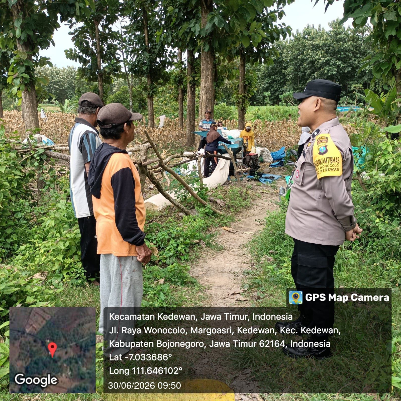 Bhabinkamtibmas Dampingi Panen Jagung, Dukung Ketahanan Pangan Nasional