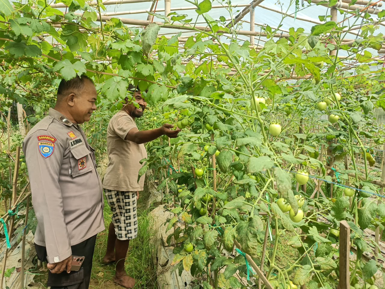 Kanit Binmas Polsek Malo Laksanakan Pendampingan kepada Petani Sayur di Desa Semlaran