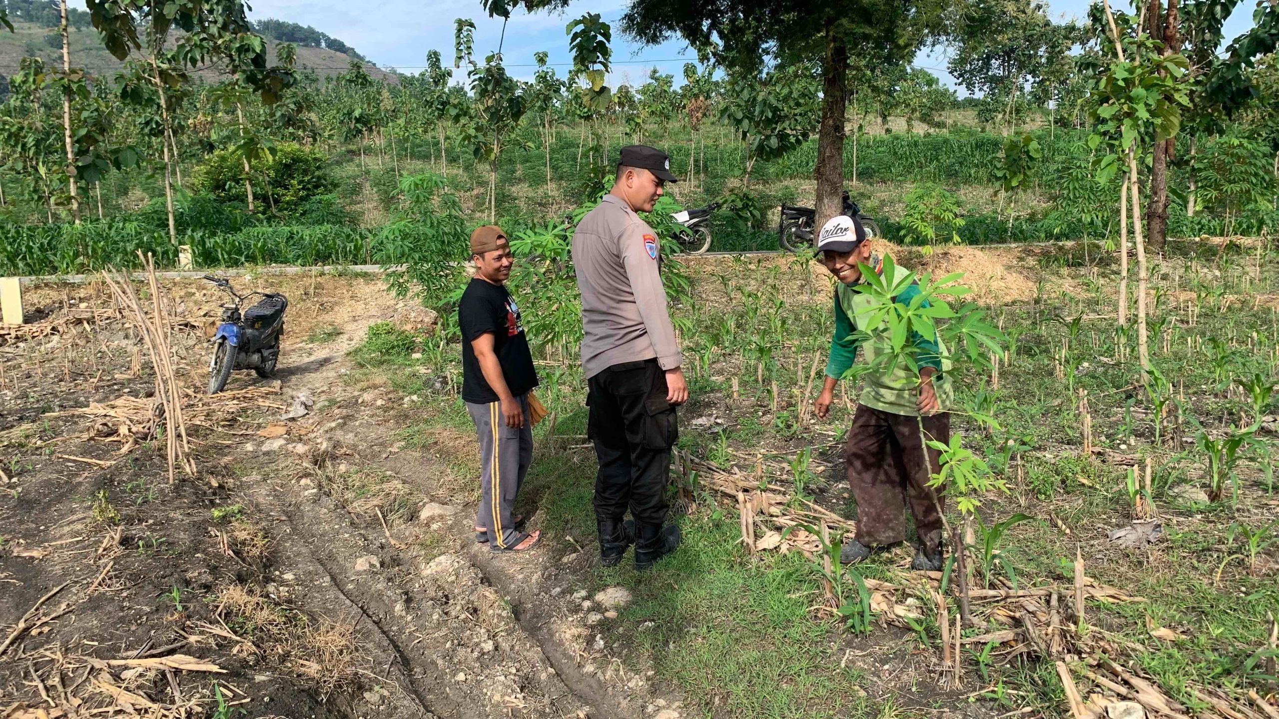 Polsek Sekar Memonitor langsung Pertanian di Wilayah Hukum Polsek Sekar