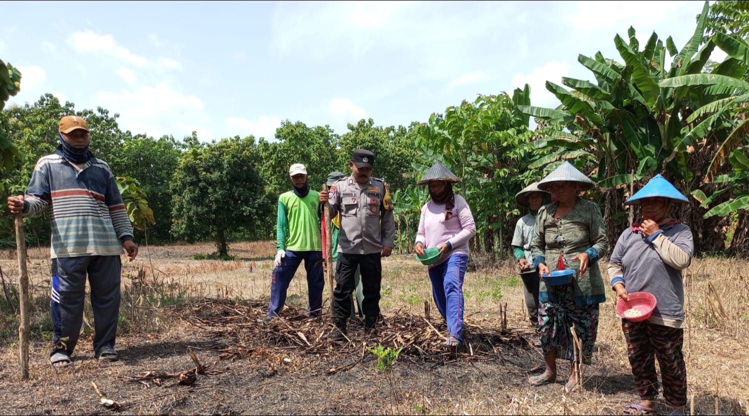 Bhabinkamtibmas Leran Dampingi Petani Tanam Jagung, Dukung Ketahanan Pangan