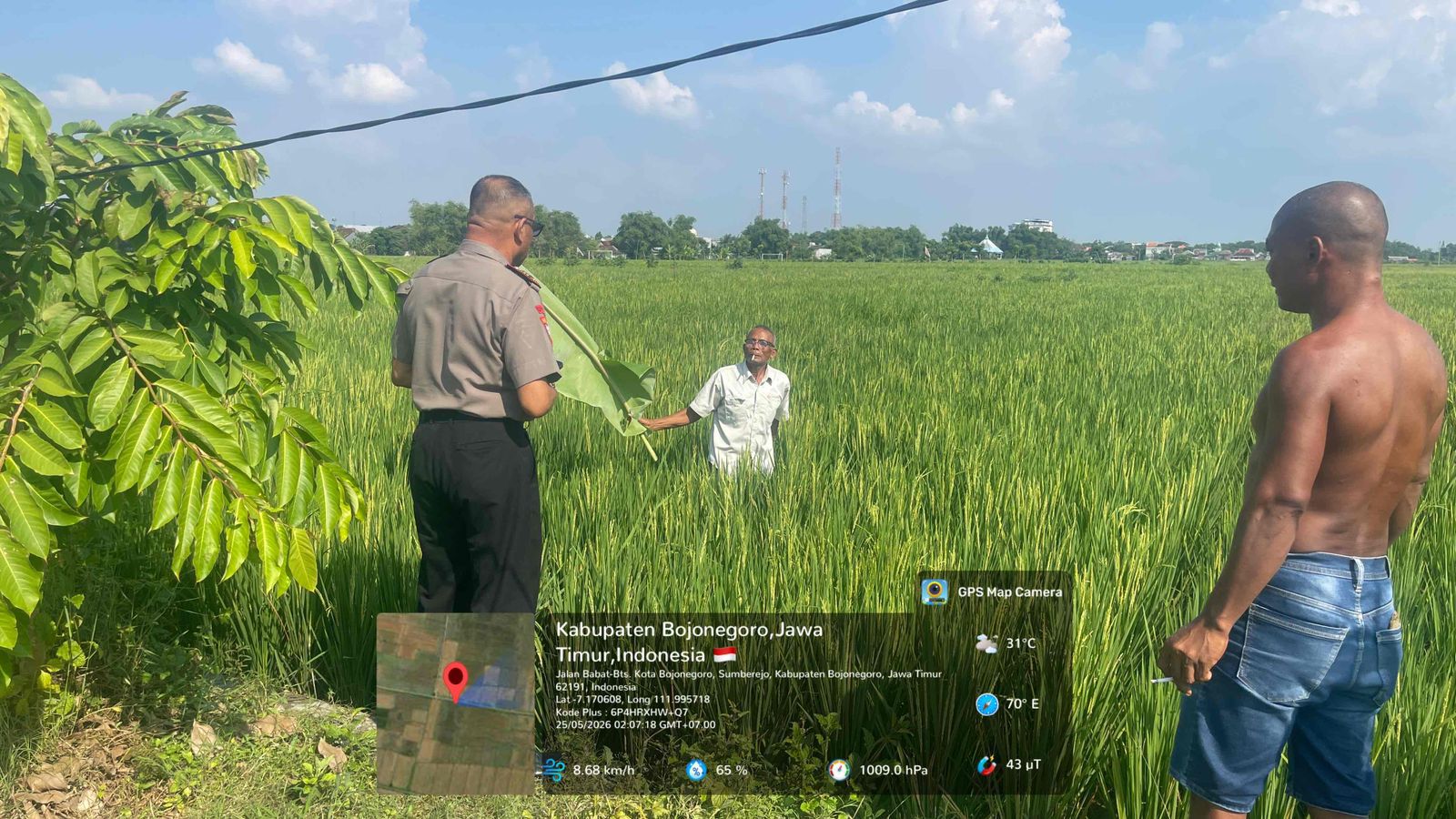Respon Cepat Polsek Sumberrejo Tangani Laporan Masyarakat Orang Meninggal Dunia Di Sawah