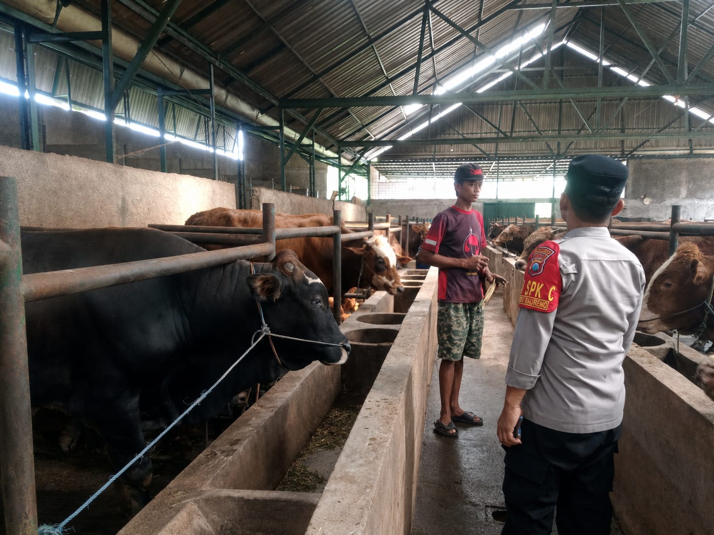 Jelang Idul Adha, Personil Polsek Baureno Sambang Peternak Beri Himbauan Untuk Tingkatkan Keamanan