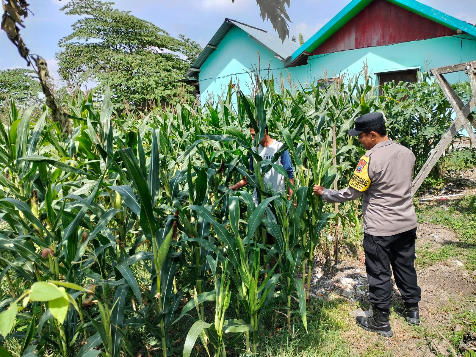 Bhabinkamtibmas Kedewan Dorong Ketahanan Pangan Melalui Pemanfaatan Lahan Pekarangan Warga