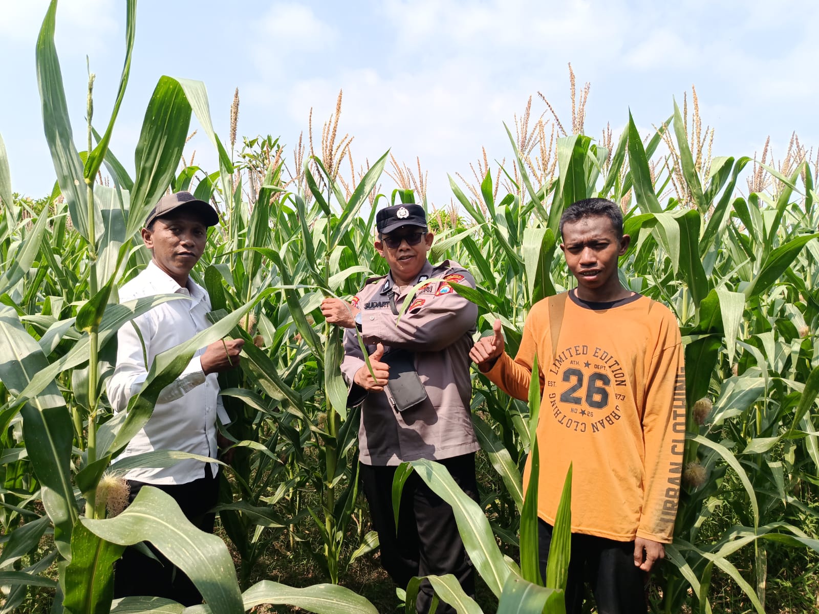 Polsek Kalitidu Melaksanakan Pendampingan Pada Petani Jagung, Dukung Program Ketahanan Pangan